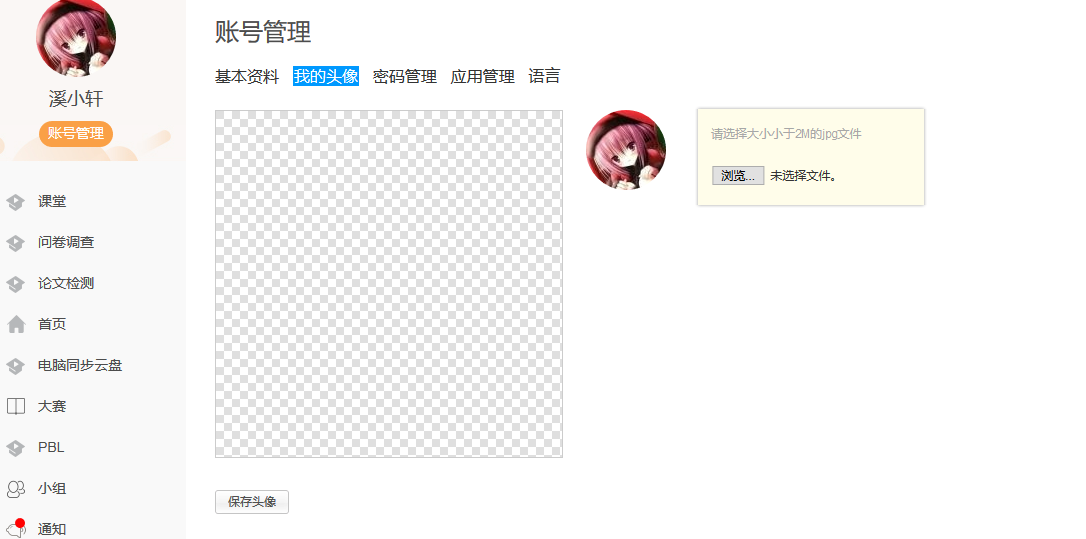 canvas(14).Png